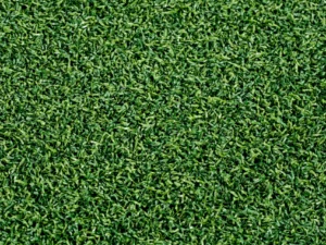 Supreme Sports Pro  PEPUTT PE® Synthetic Turf